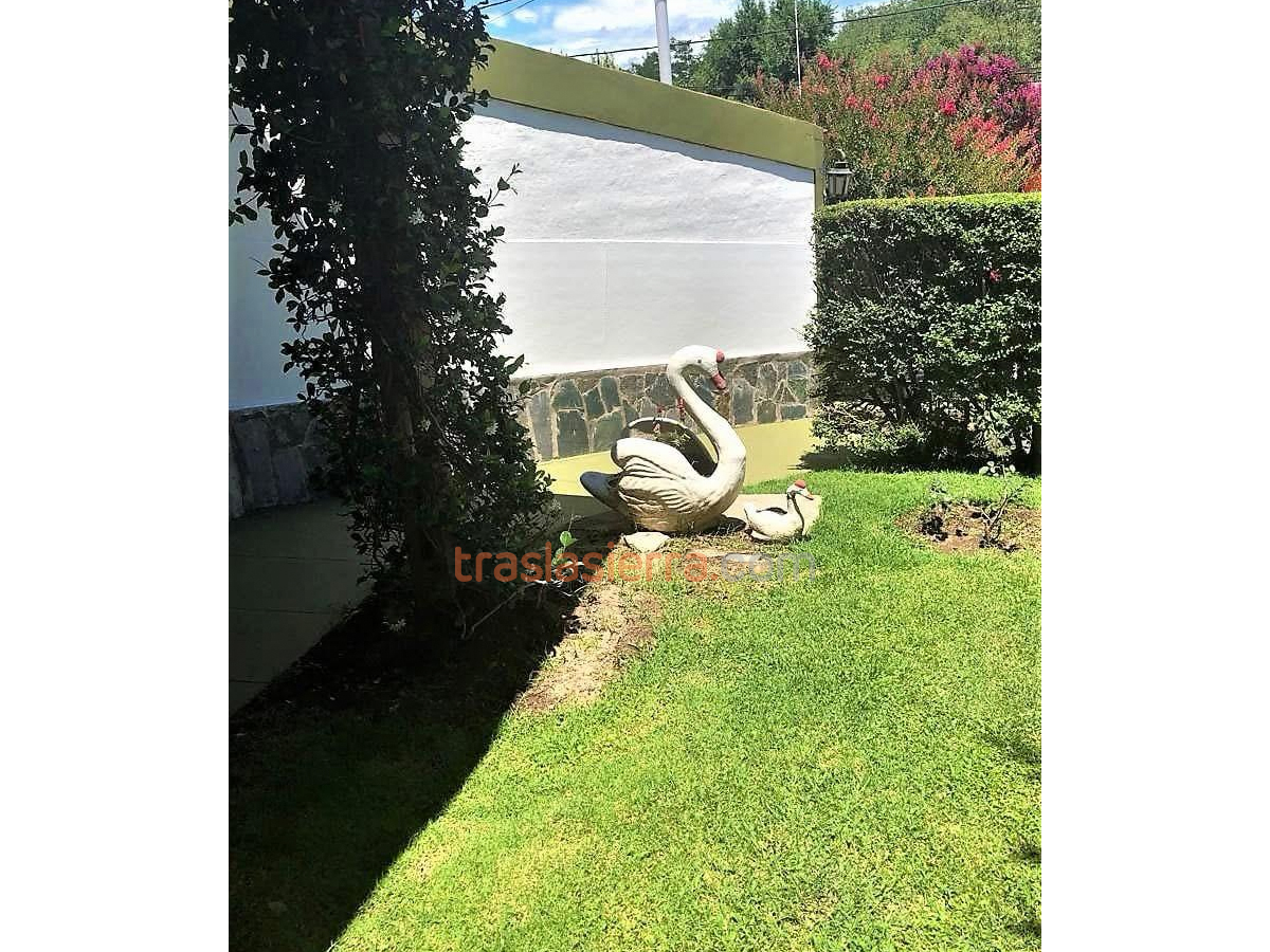 Jardín | Pequeño Cedro Azul Hostería - Mina Clavero - Traslasierra Jardín | Pequeño Cedro Azul Hostería - Mina Clavero - Traslasierra