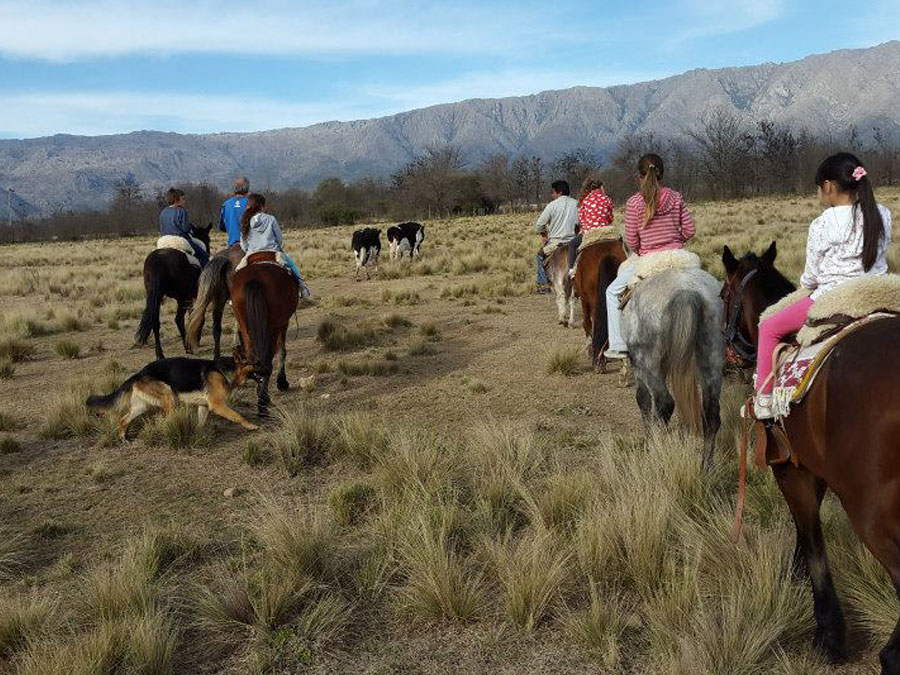 Paseo a caballo | Granja El Aromo - Las Calles