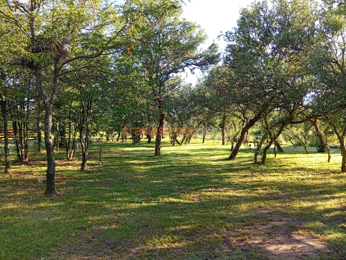 Amplio predio parquizado | La Casita del Bosque - Panaholma - Traslasierra