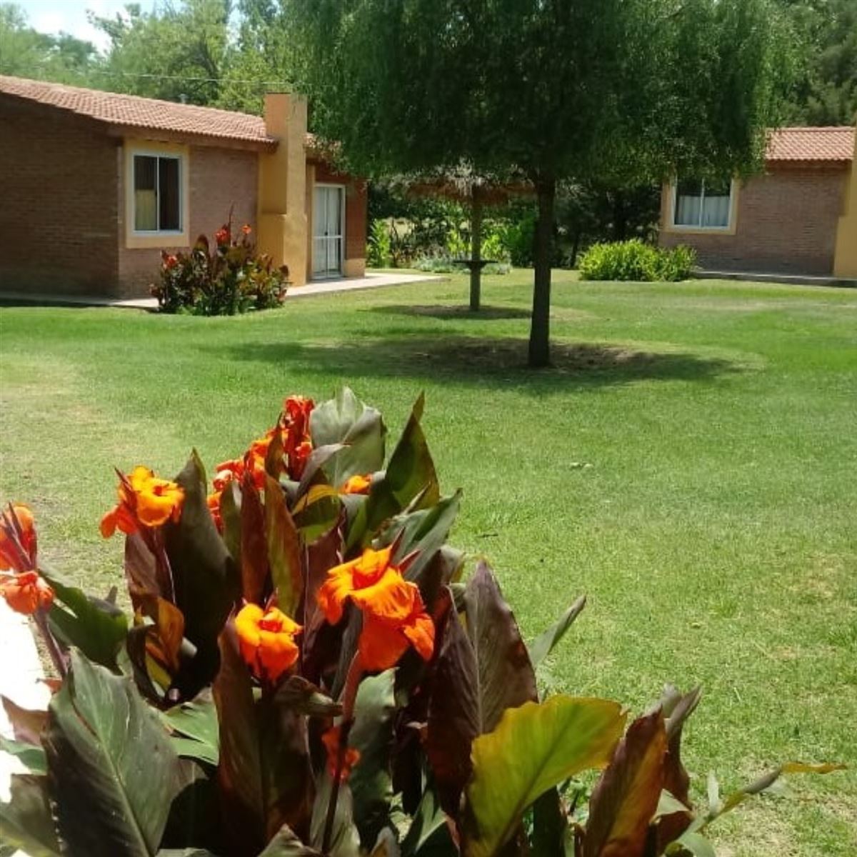 Exterior | Suray Cabañas - Nono - Traslasierra