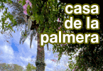 Casa de la Palmera | Los Molles