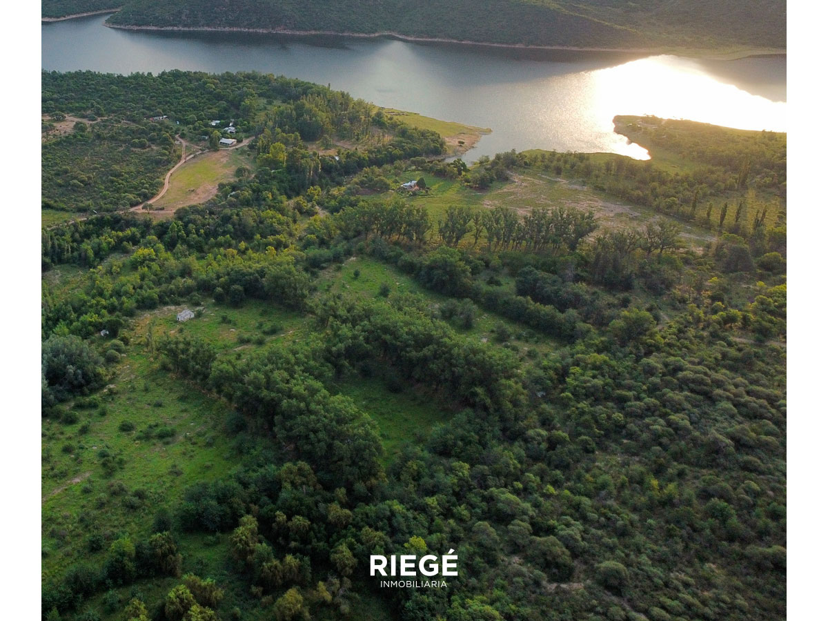 Hectárea en Tajamar