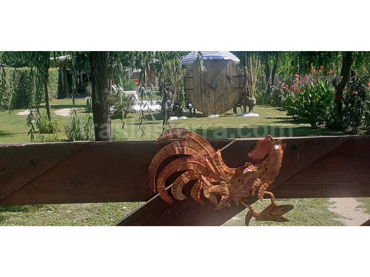 Predio parquizado | Pachy Cabaña de Campo - San Lorenzo - Traslasierra Predio parquizado | Pachy Cabaña de Campo - San Lorenzo - Traslasierra