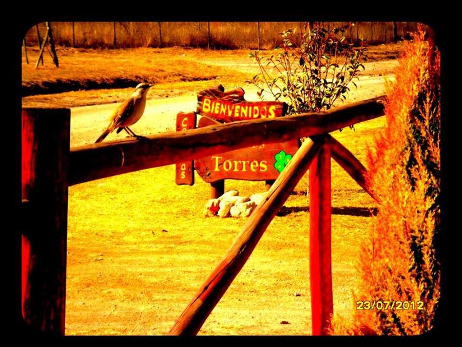 Llegada | Cabañas De los Torres - Arroyo de los Patos - Traslasierra