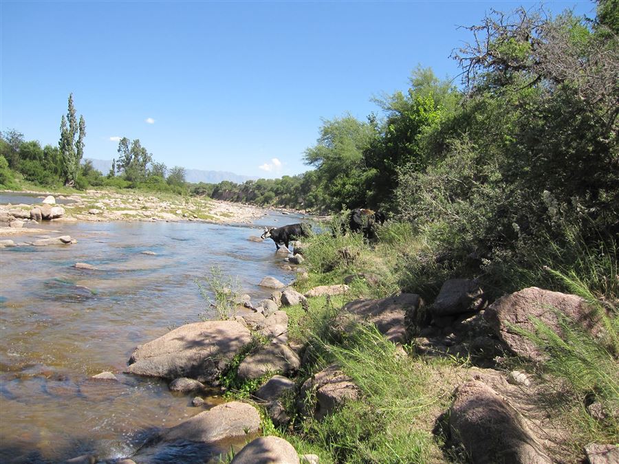 A 150 metros del rio panaholma | Gemma Cabañas - San Lorenzo - Traslasierra A 150 metros del rio panaholma | Gemma Cabañas - San Lorenzo - Traslasierra