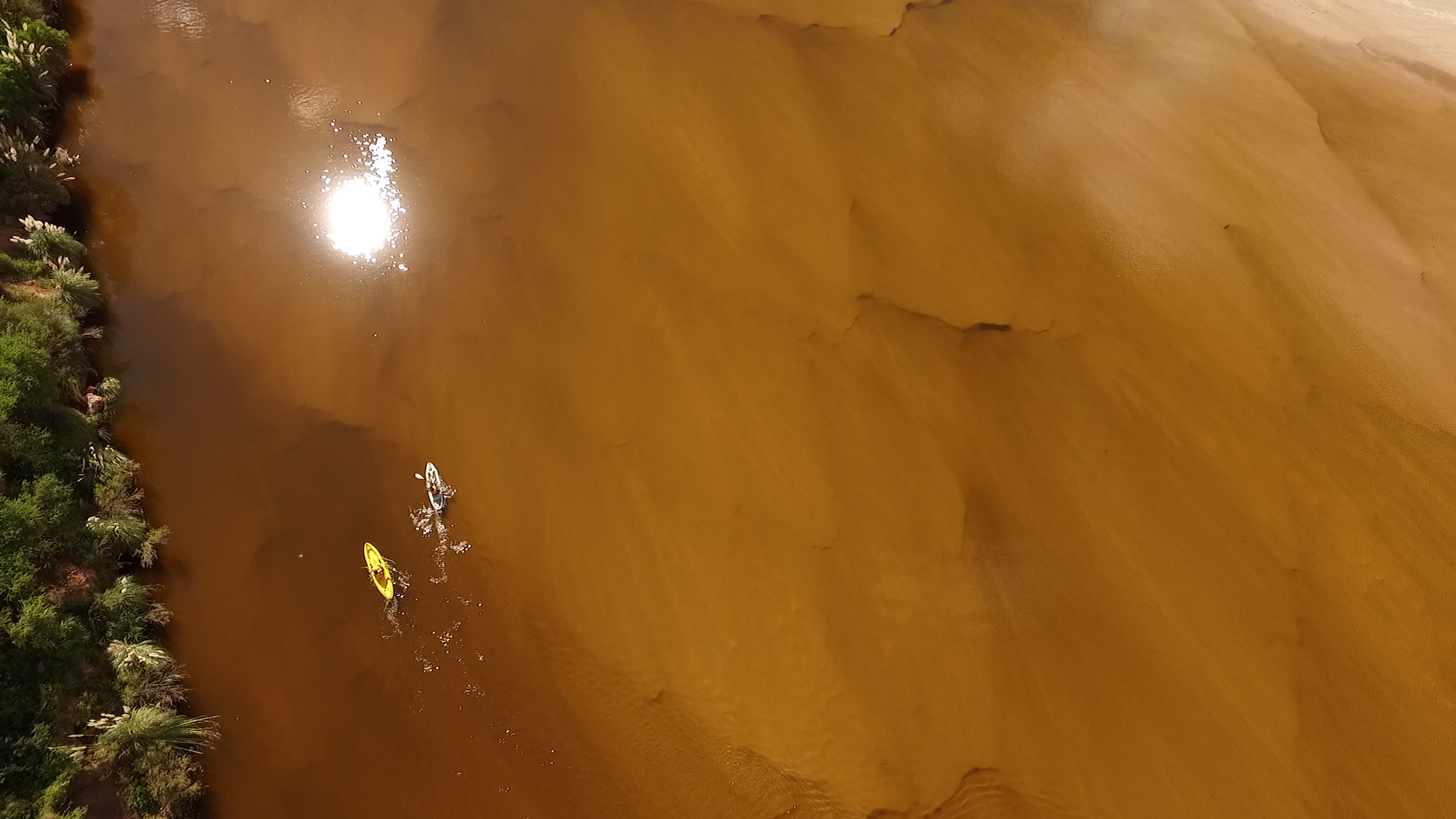 Kayak