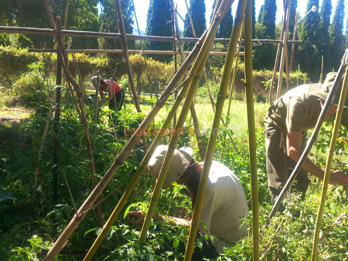 Huerta | La Santa Casa de Descanso y Estadías Conscientes - Las Chacras Sur - Traslasierra