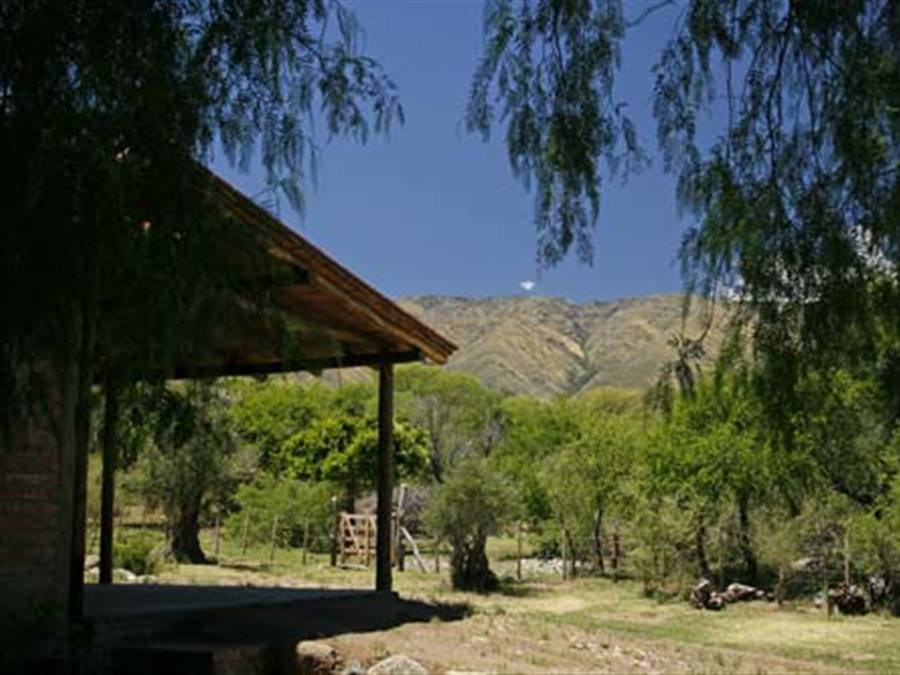 Vista desde la casa | Los Cerros Casa de Campo - Luyaba - Traslasierra