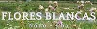 Flores Blancas Nono Centro