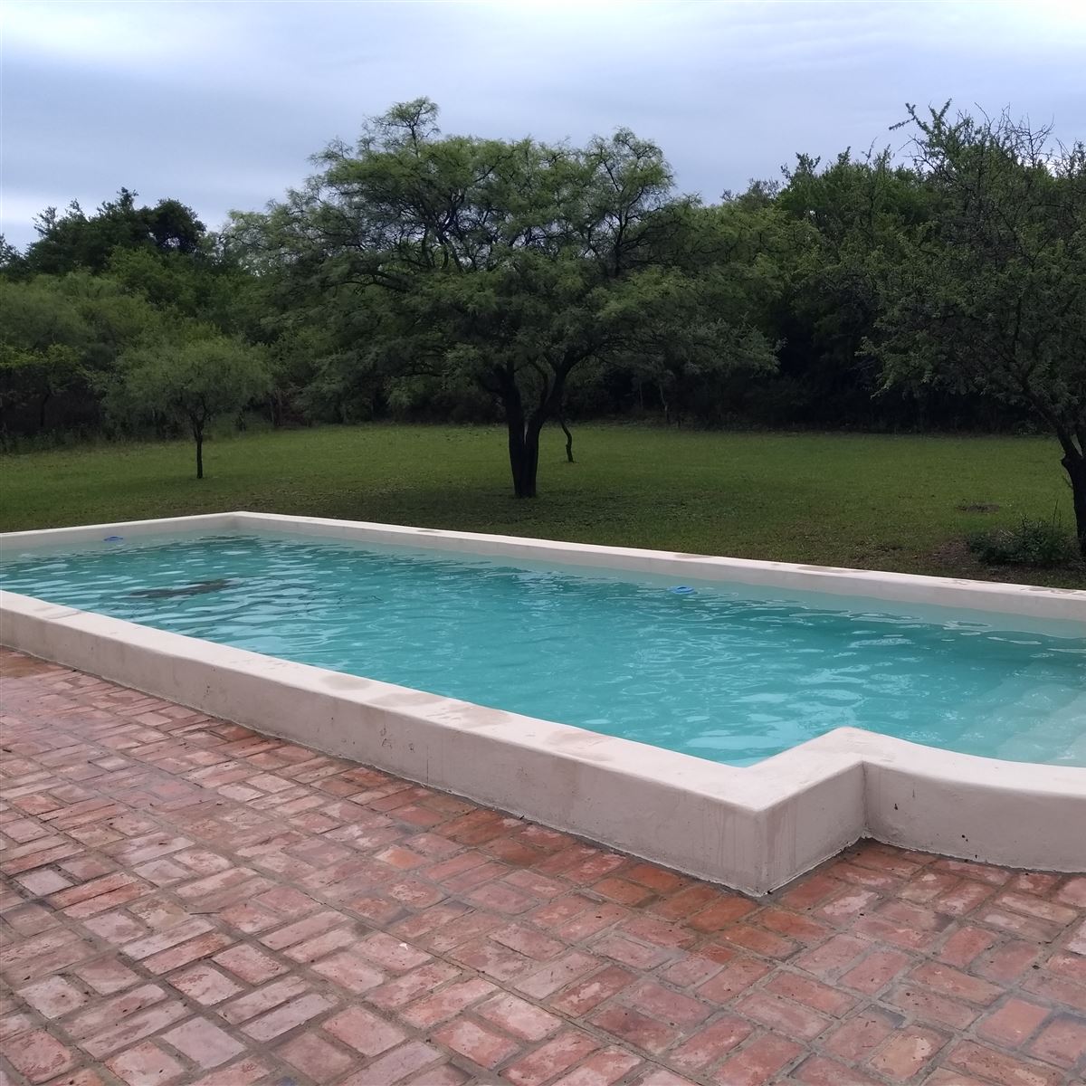 Pileta | Molle Grande Chalet - Villa de Las Rosas - Traslasierra Pileta | Molle Grande Chalet - Villa de Las Rosas - Traslasierra