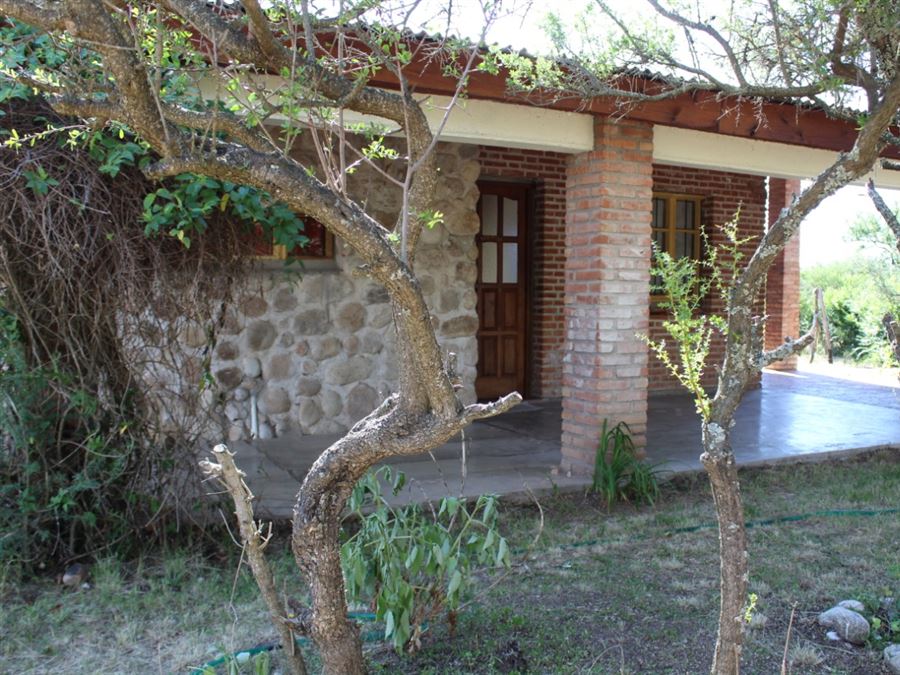 Árboles autóctonos | Buena Vista Casa de Campo - Nono - Traslasierra