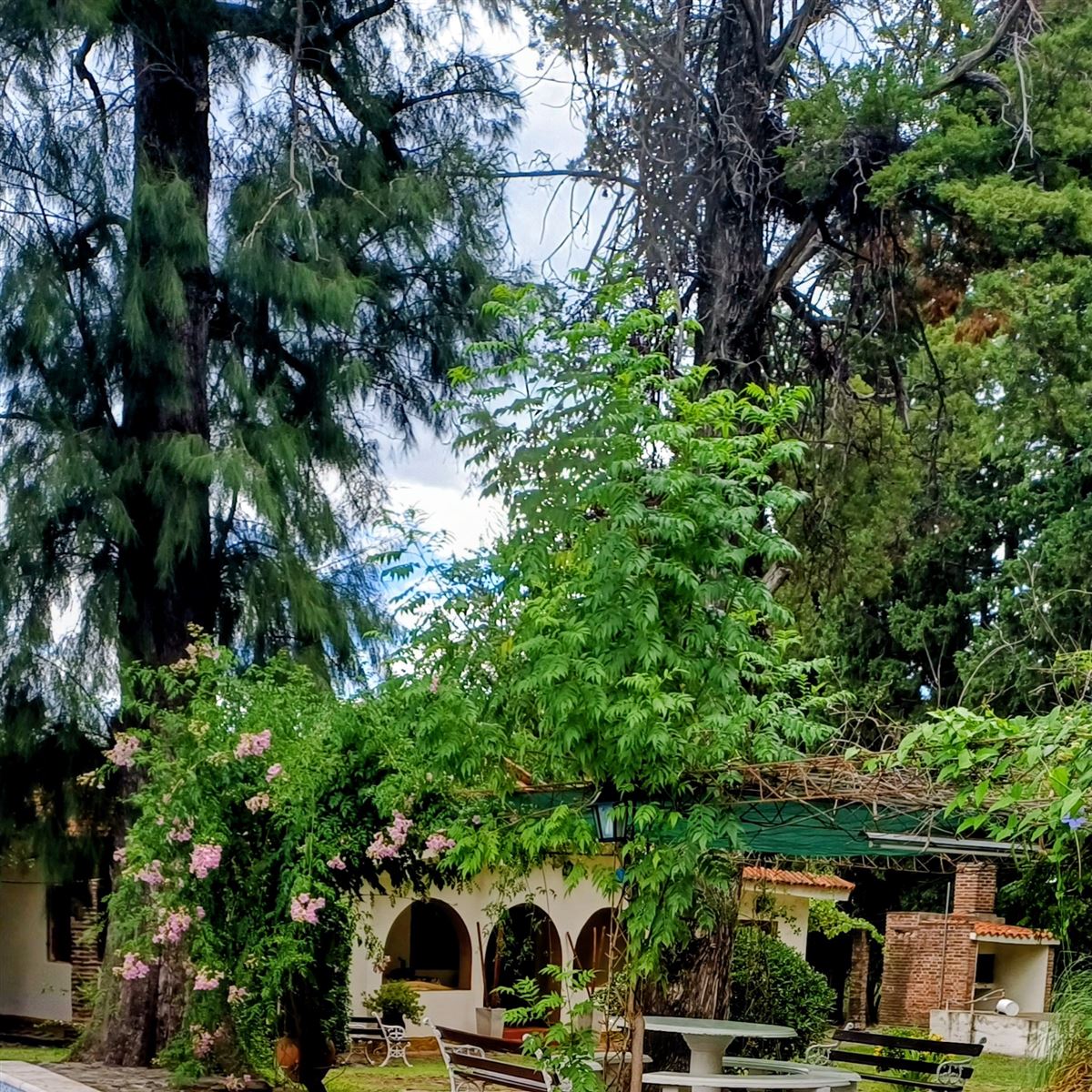 Piscina | Chalet Tamar - Luyaba - Traslasierra
