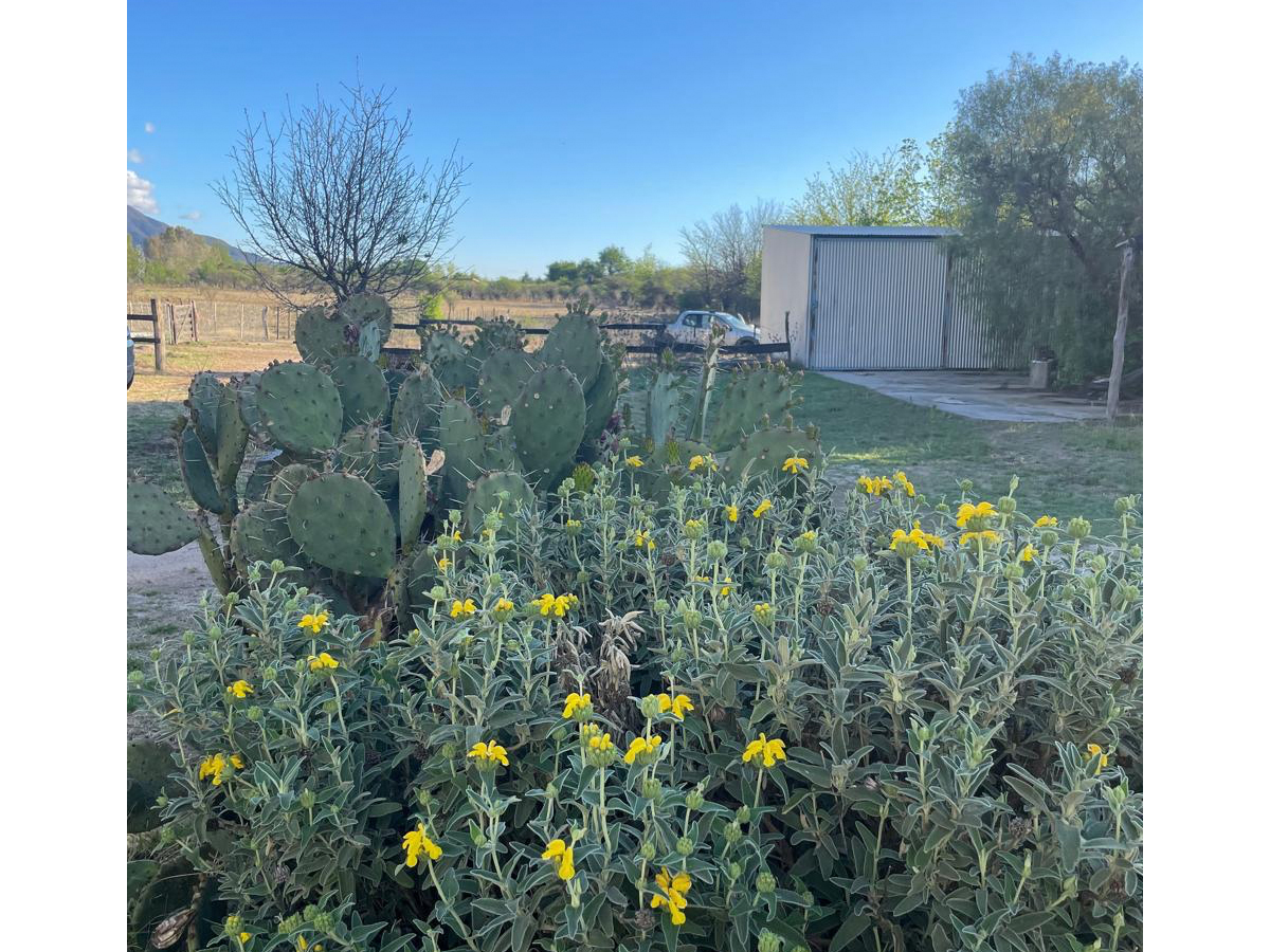 Predio parquizado | Casa La Loma - Las Calles - Traslasierra Predio parquizado | Casa La Loma - Las Calles - Traslasierra