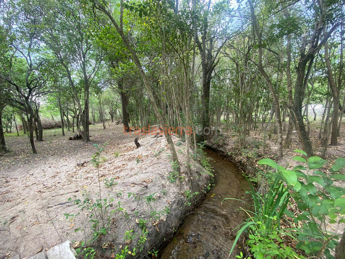 Acequia | La Huaiqueña - Las Calles - Traslasierra