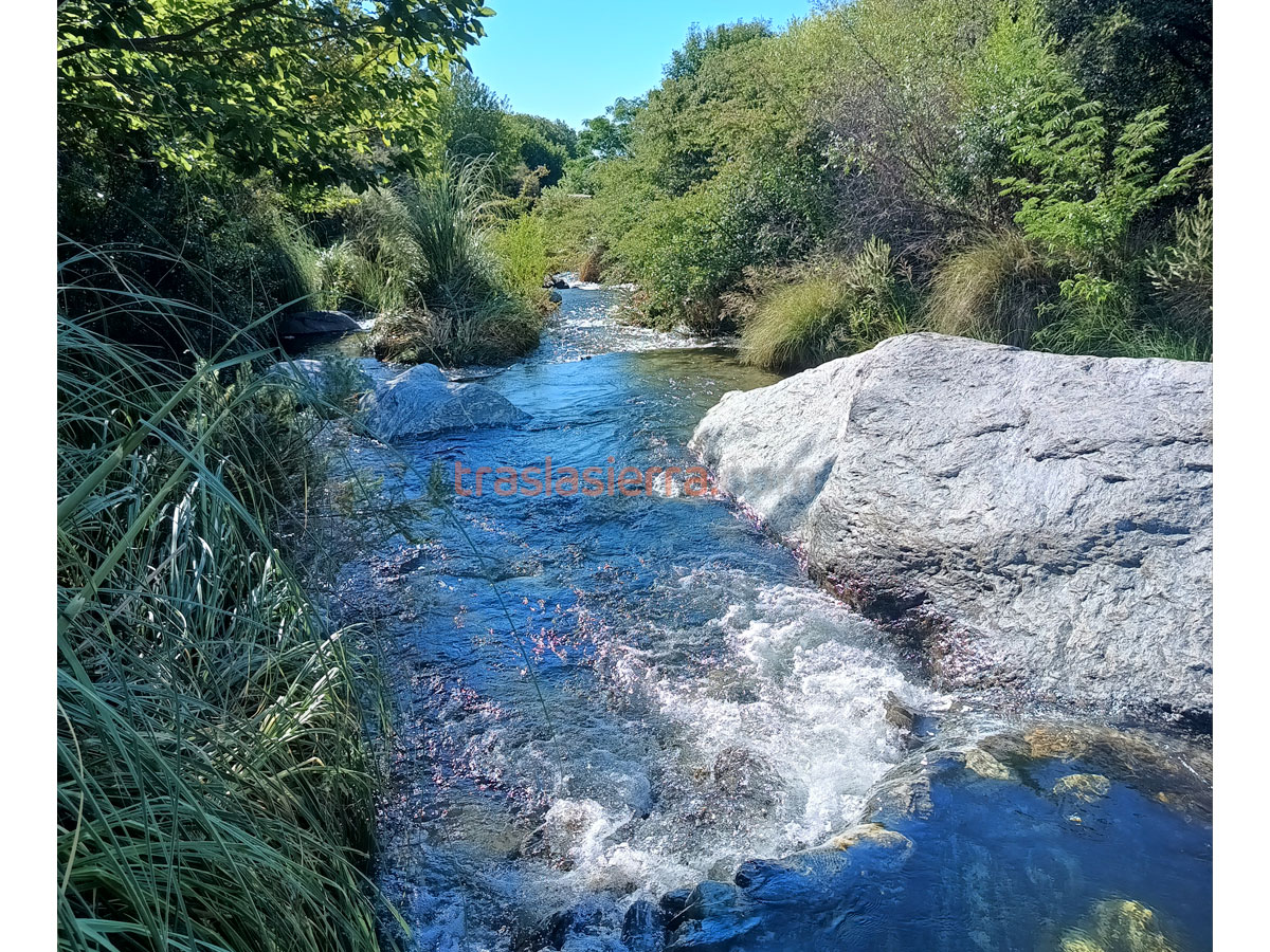 Arroyo cercano | Aguaribay - San Javier - Traslasierra Arroyo cercano | Aguaribay - San Javier - Traslasierra
