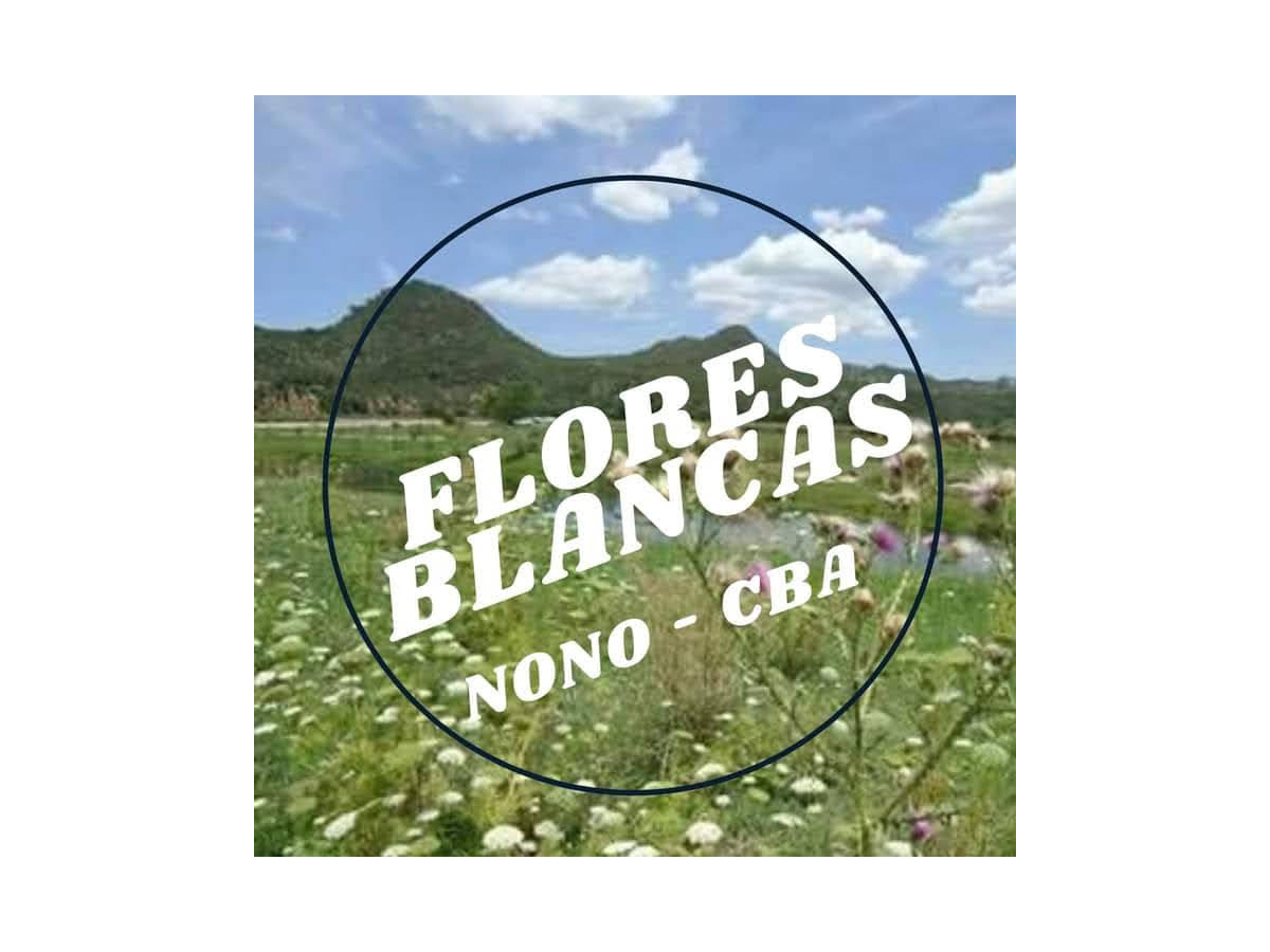 Logo Flores Blancas Nono Centro | Flores Blancas Nono Centro - Nono - Traslasierra Logo Flores Blancas Nono Centro | Flores Blancas Nono Centro - Nono - Traslasierra